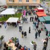 Kassel Anna Markt