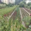 Gartenwerkstatt