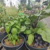 Gartenwerkstatt