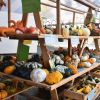 Hof Kunze
