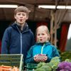 Wochenmarkt Baunatal