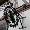 Landwirtschaftliche Kellerei und Brennerei
