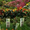 Gartenschule und Gartengestaltung Döring