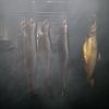 Fischzucht Gauggel