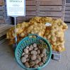 Kartoffelhof Neutze