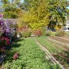 Gartenwerkstatt
