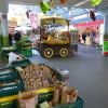 Kassel Markthalle
